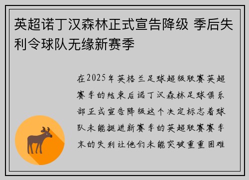 英超诺丁汉森林正式宣告降级 季后失利令球队无缘新赛季